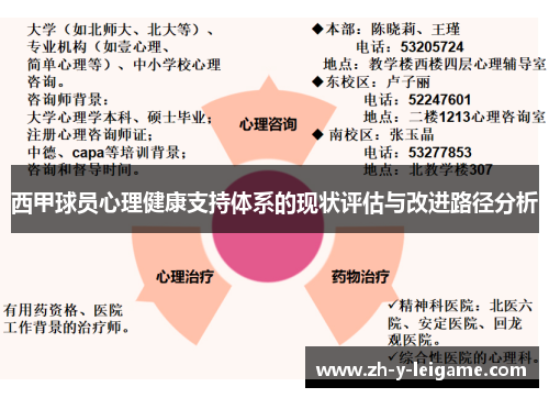 西甲球员心理健康支持体系的现状评估与改进路径分析
